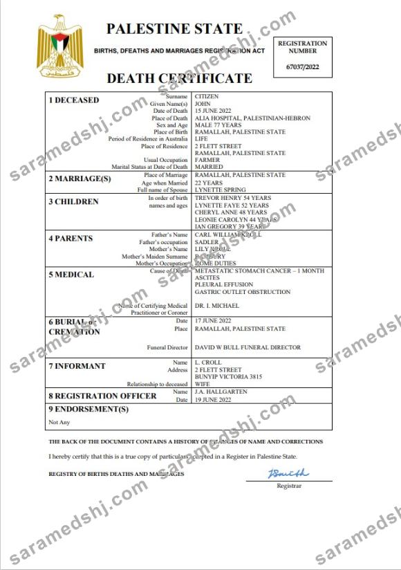 Palestine vital record death certificate Word and PDF template
